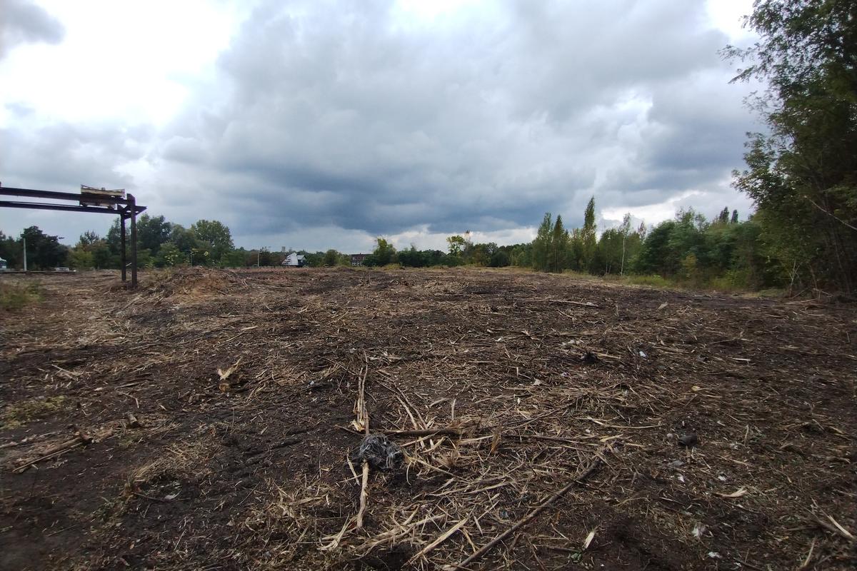 Teren przed budową